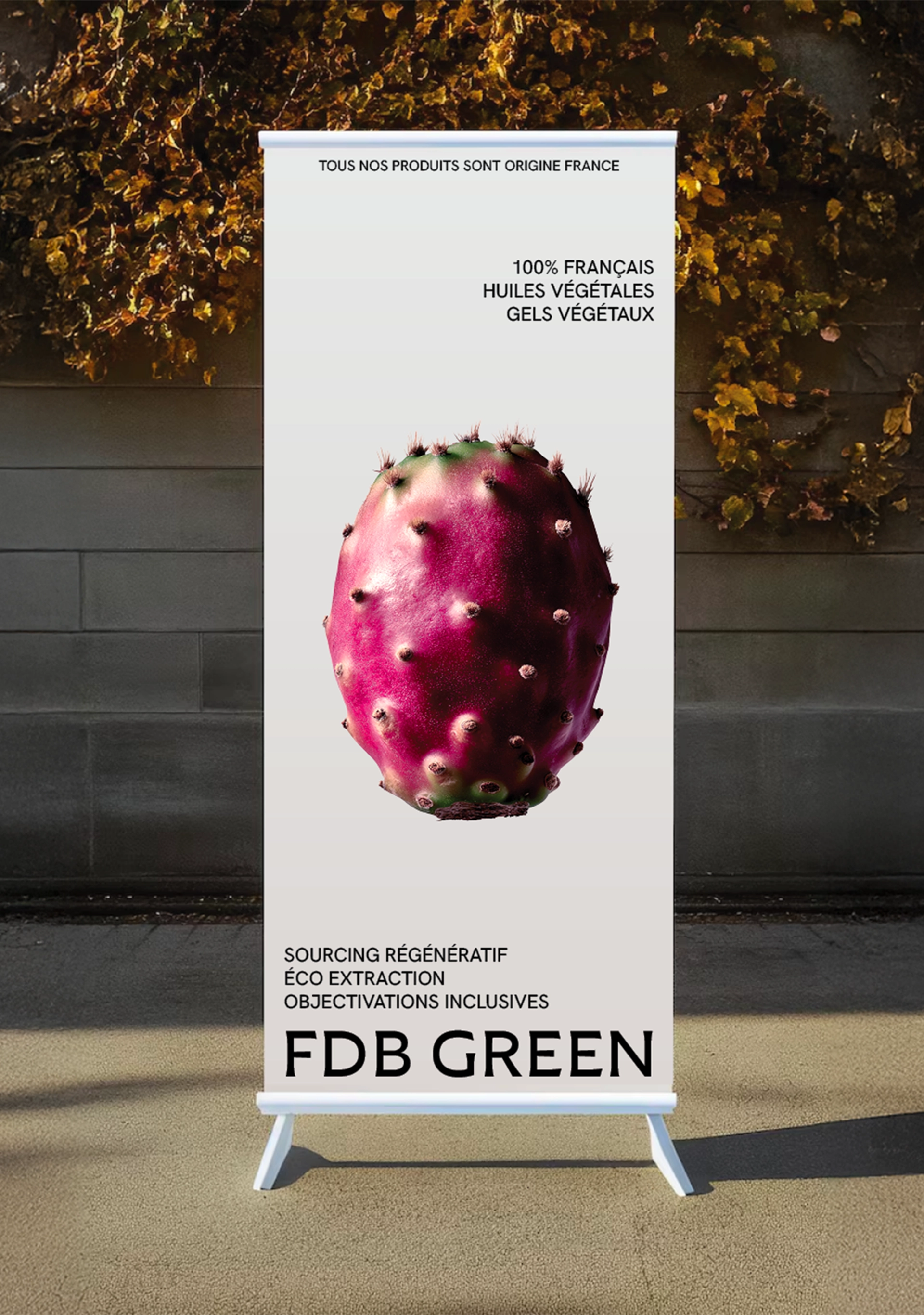 FDB Green - image 3
