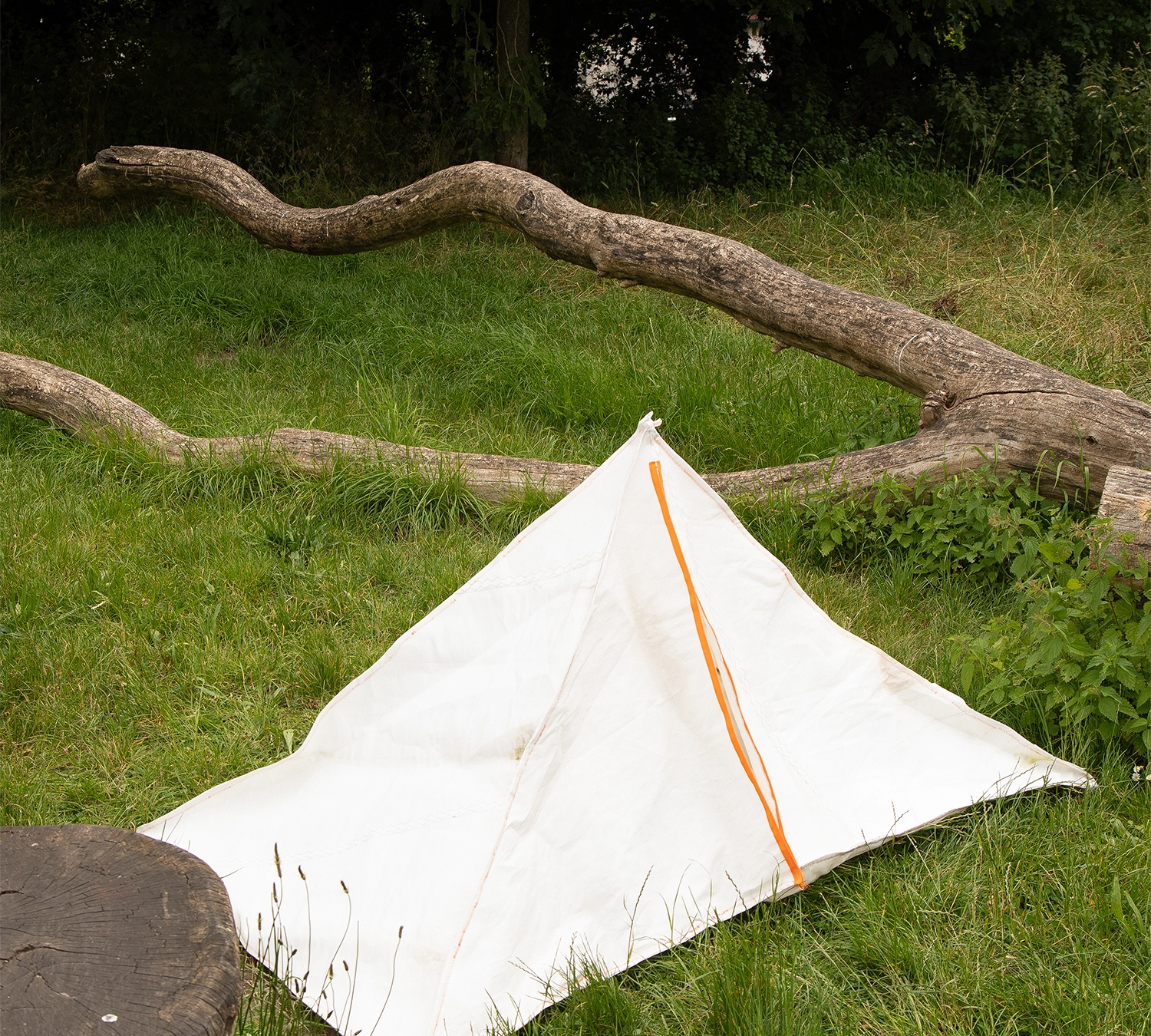 Tent - image 4