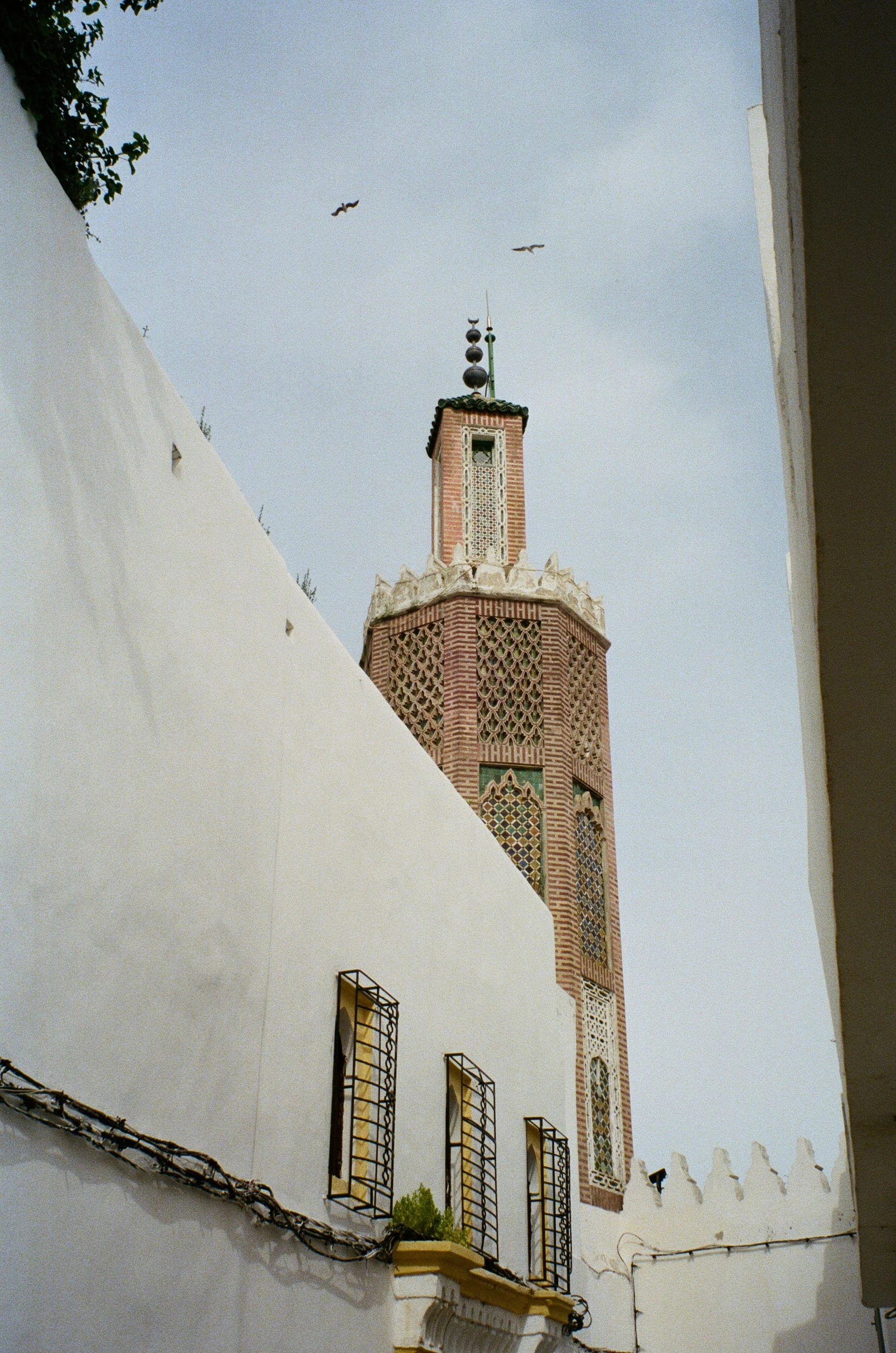 Morocco - image 5